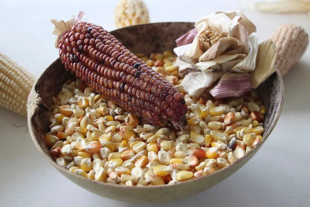 Sistema Milpa