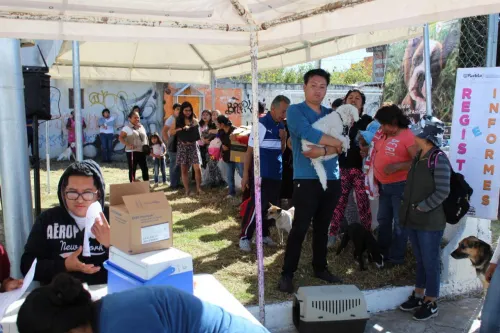 Acercan programa del Buen Vecino a la colonia Minerales de Guadalupe Sur