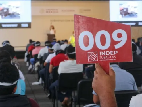 INDEP anuncia remate de 295 lotes en séptima subasta