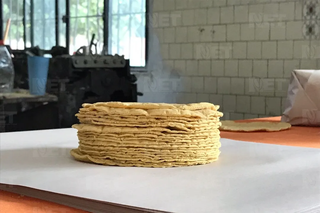 Venden en La Condesa hasta en 122 pesos el kilo de tortillas: Profeco