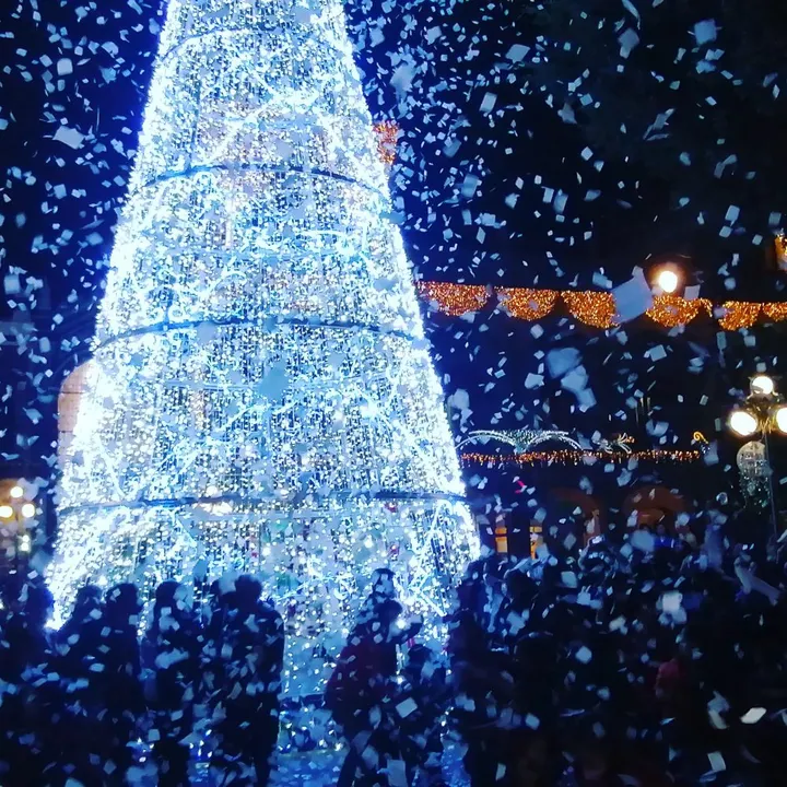 Enciende Ayuntamiento de Puebla árbol monumental