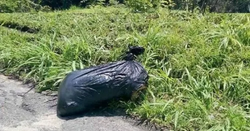 Asesinan y embolsan a hombre para abandonarlo a unos metros del CBTIS de Atlixco