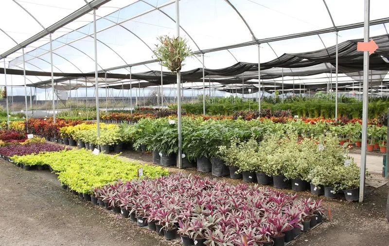 floricultores-poblanos-conaplor