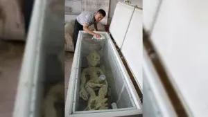 Campesino asegura haber matado a un ”Alien”, muestra fotografía