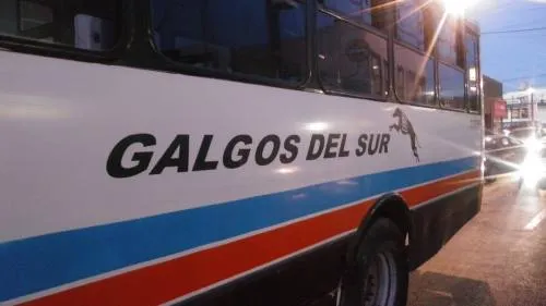 Asaltan tres rutas del transporte Público