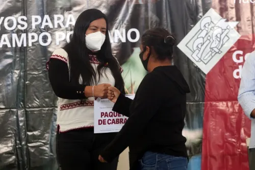 Continuarán los apoyos a productores en todos los eslabones de la cadena: Ana Laura Altamirano