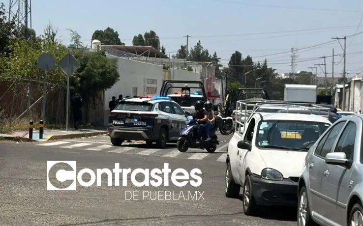 Terrible, lo que sucede dentro y fuera del mercado Morelos