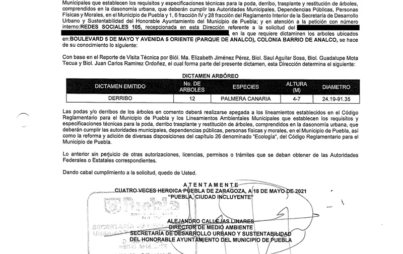 Imagen del artículo