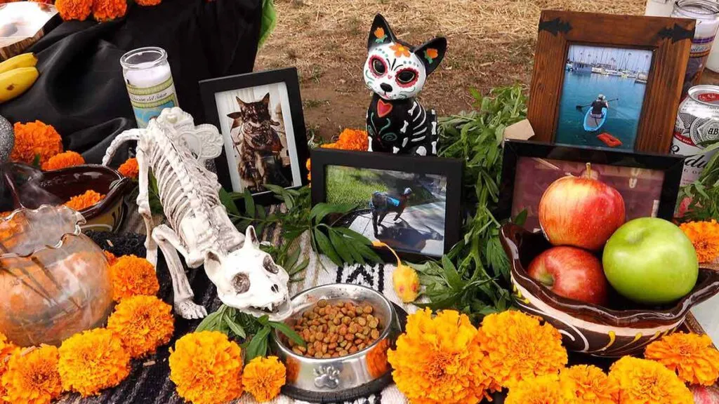 Día de Muertos mascotas
