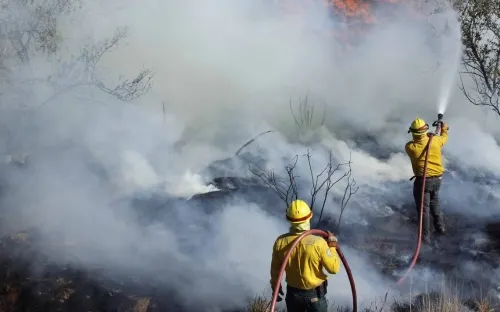 Agricultores deben ser capacitados para evitar incendios forestales