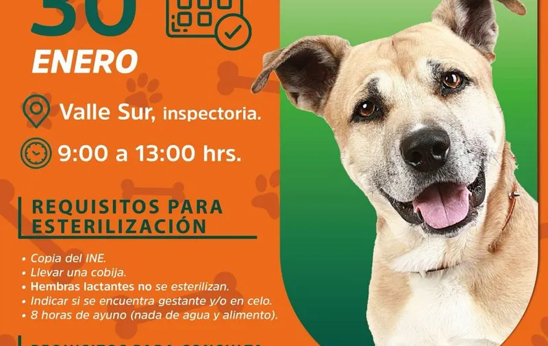 atlixco-jornada-servicios-veterinarios-gratuitos