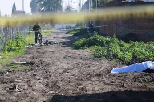 De un tiro en la cabeza, asesinan a un hombre al sur de la ciudad