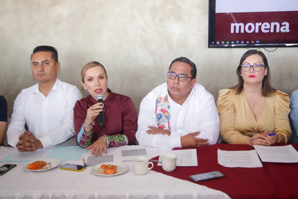 Diputados de Morena hablan sobre la Ley Sabina