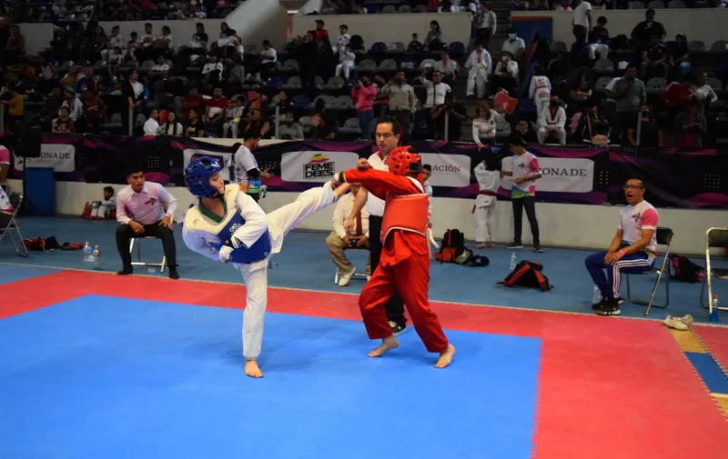 Gran Fiesta del Taekwondo