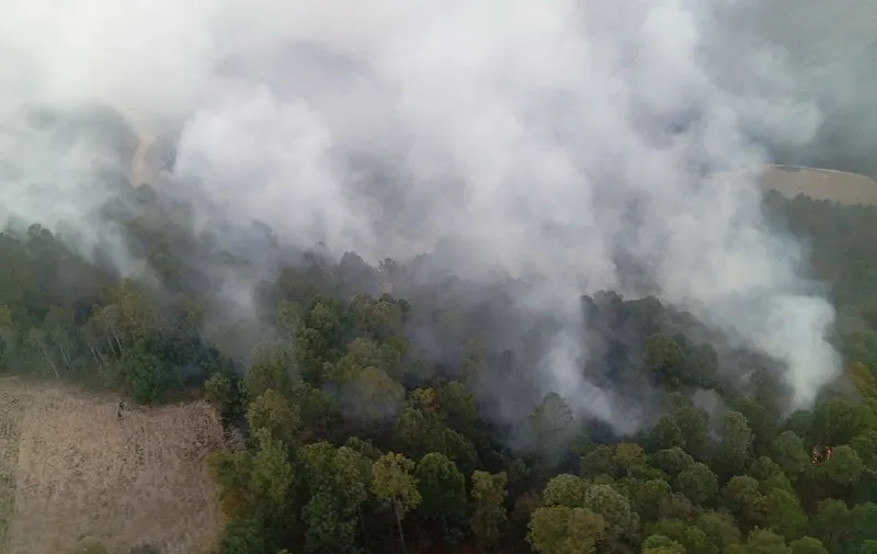 gob-pue-incendio-forestal-vicente-guerrero