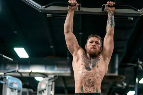 Conor McGregor es arrestado por robar y aplastar el celular de un fan