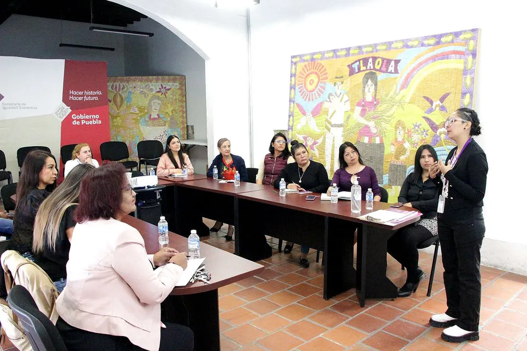 Sis Puebla Acosometro