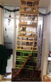 Asegura Profepa 9 aves a particular en Puebla por no acreditar su legal procedencia