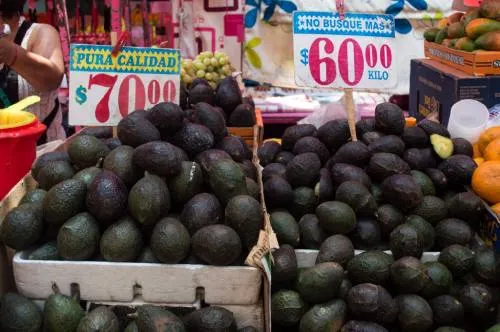 Aguacate continúa en precio máximo de 85 pesos por kilo: Profeco