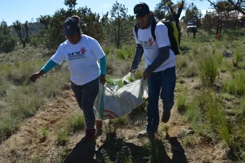 Realiza Granjas Carroll su campaña  de reforestaciones 2019