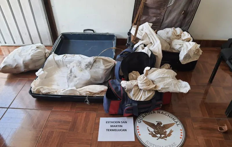 Imagen del artículo