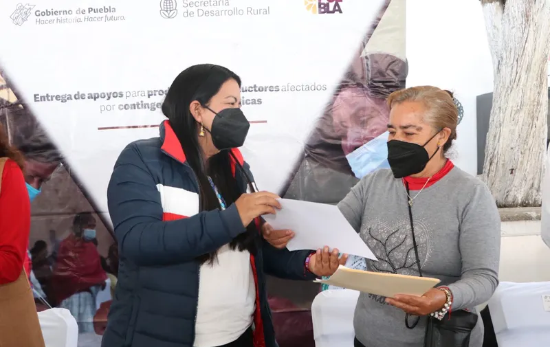 SDR apoya productores