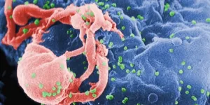 Medicamento contra el alcoholismo despierta el virus del VIH