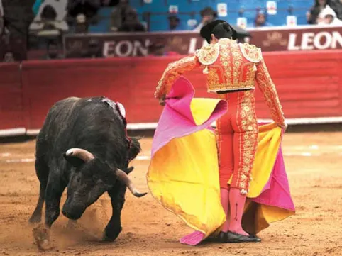 Toreros podrían ir a la cárcel en el DF por maltrato de animales