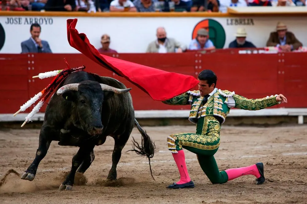Ernesto Javier Calita