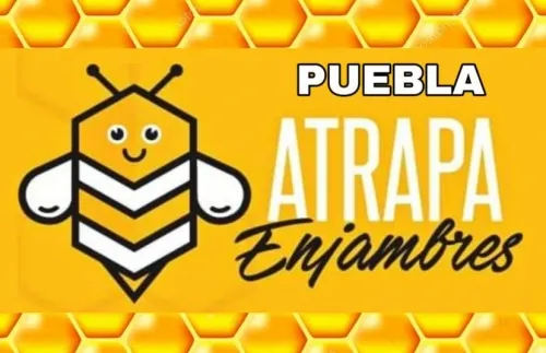 #FuerzaEnLaContingencia: Atrapa Enjambres Puebla