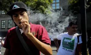 En 10 días Cofepris tramitará permisos para uso lúdico de la cannabis