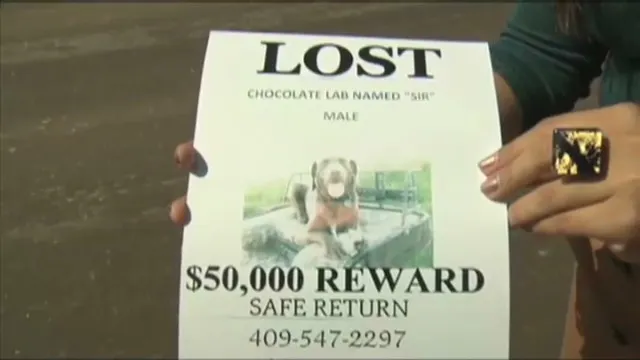 Una pareja en EE.UU. vende la casa para pagar recompensa por su perro