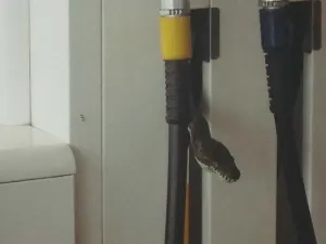 Serpiente aparece dentro de la manguera de una gasolinera
