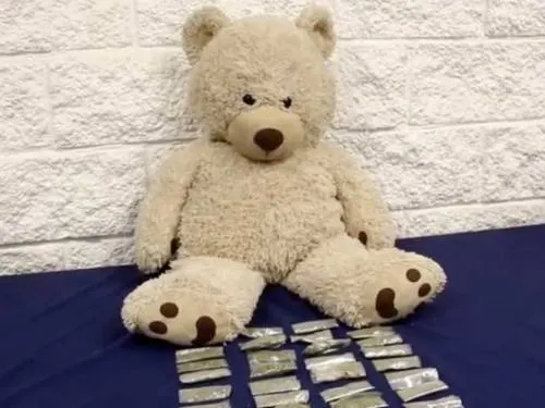 Policía incauta osa de peluche rellena de mariguana en Bogotá