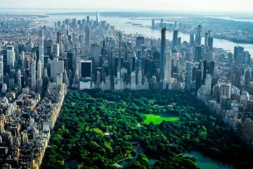 Nueva York puede limitar el número de vendedores de arte en parques populares, avala Corte
