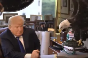 Por tentón, águila calva ataca a Donald Trump