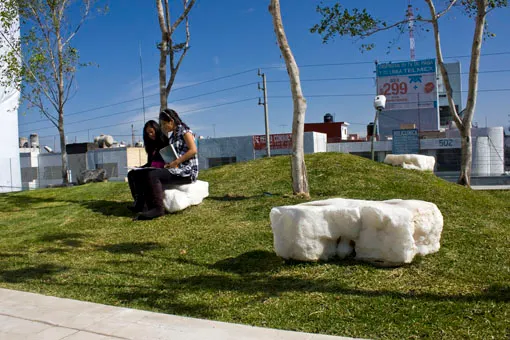 UPHM pionera en la construcción de ”azoteas verdes”