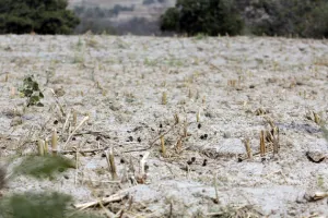 Secretaría de Salud aplica operativo en poblaciones cercanas al volcán