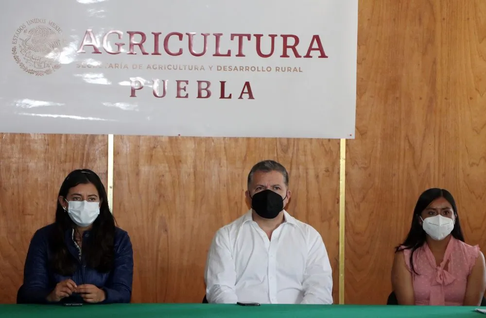 Inicia SDR capacitación a técnicos de café para ciclo 2021-2022
