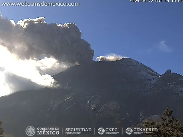 Imagen del artículo