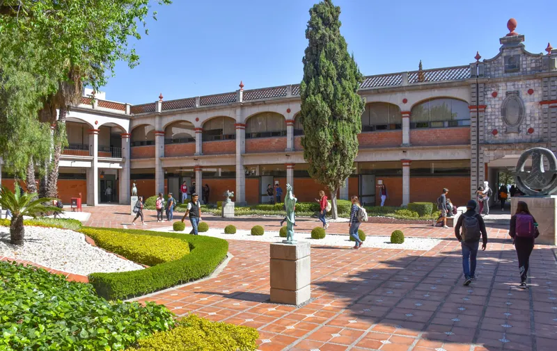 Imagen del artículo