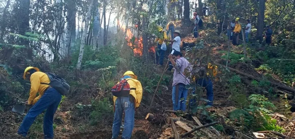 Incendios forestales