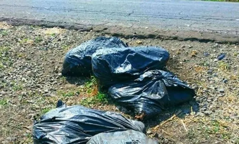 Cadaver En Bolsas De Basura Molcaxac