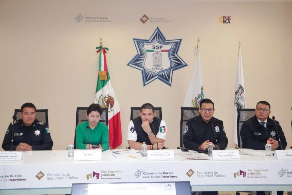 Seguridad Pública