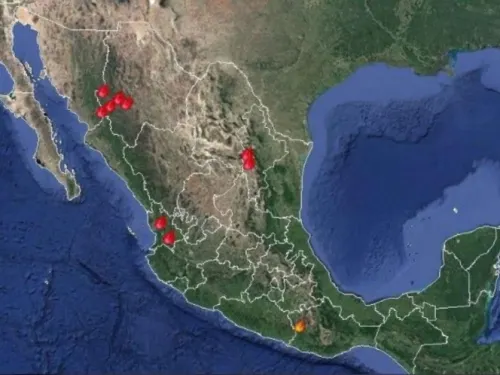 Reportan 12 incendios forestales en 7 estados del país