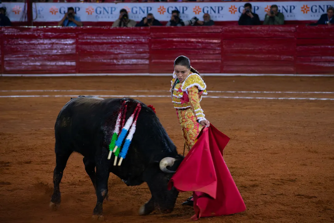 Foto: Rodrigo del Río / ObturadorMX
