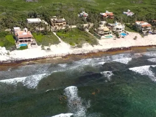 Marina retira 38 mil 892 toneladas de sargazo en casi 3 meses