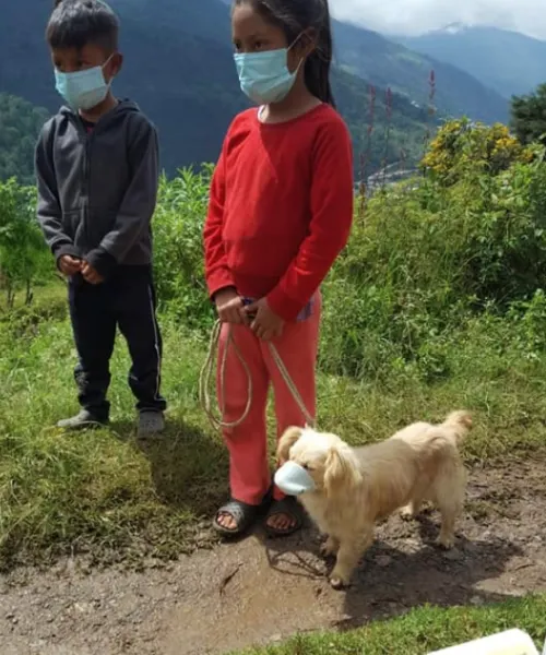 Perrito es llevado a vacunar con cubrebocas, en Guatemala