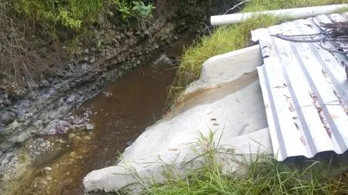 Profepa investiga vertido de aguas residuales en Río Cotzala, afluente del Río Atoyac