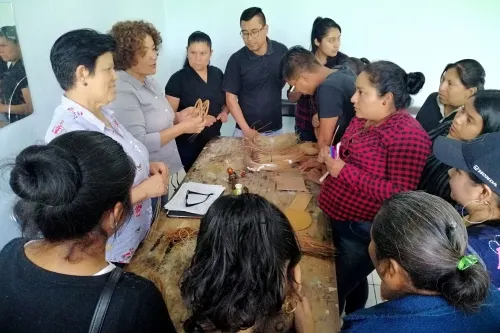Inicia SDR cursos de amaranto y ocoxal para mujeres de Atzitzihuacan